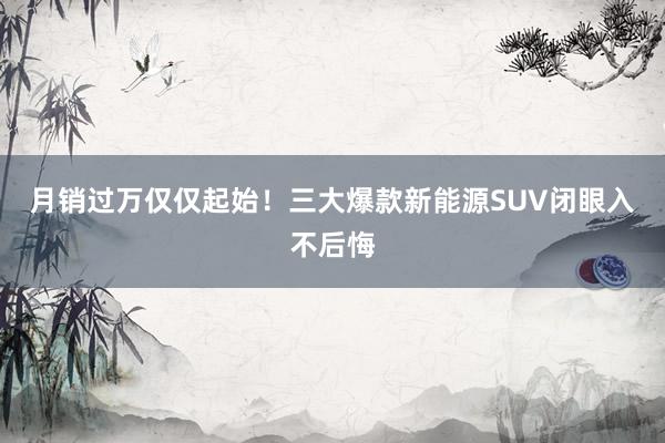 月销过万仅仅起始!三大爆款新能源SUV闭眼入不后悔